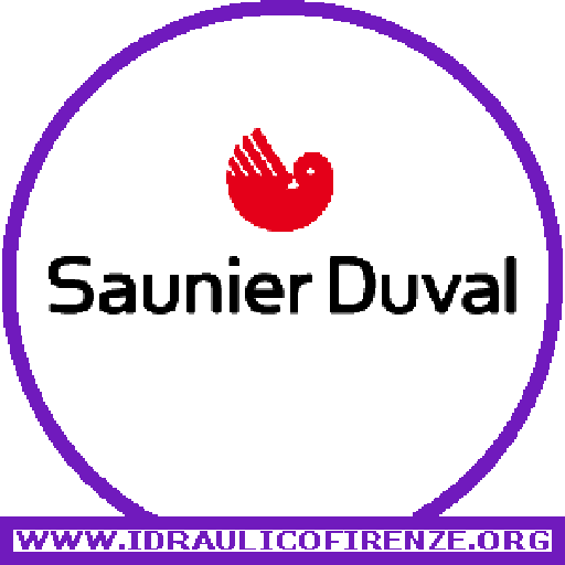 Caldaie SAUNIER DUVAL Firenze