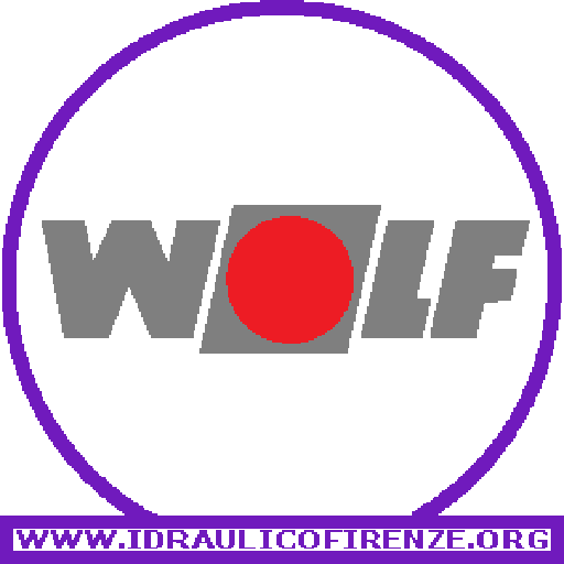 Assistenza Caldaie WOLF Firenze