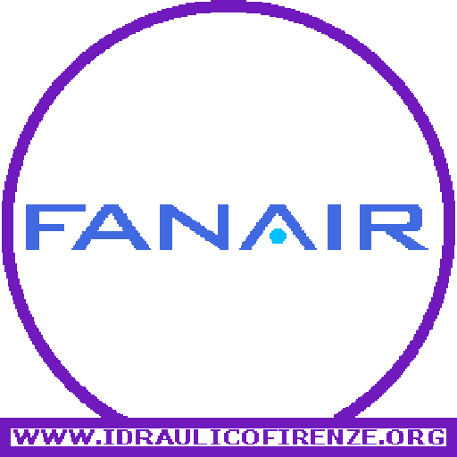 Assistenza Climatizzatori Fanair Firenze