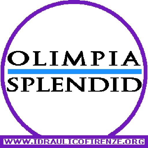 Climatizzatori Olimpia Splendid Firenze