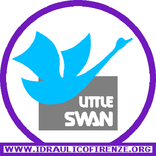 Climatizzatori Little Swan Firenze