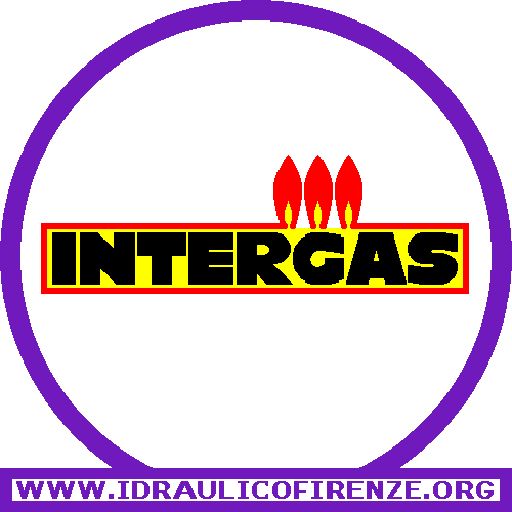 Caldaie INTERGAS Firenze