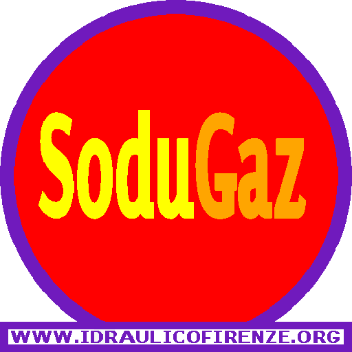 Caldaie SODUGAZ Firenze