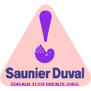 Codici Errore Caldaia SAUNIER DUVAL