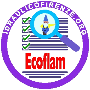 Manutenzione Caldaia Ecoflam
