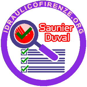 Manutenzione Caldaia Saunier Duval