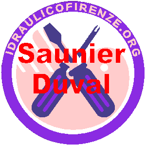 Riparazione Caldaie Saunier Duval